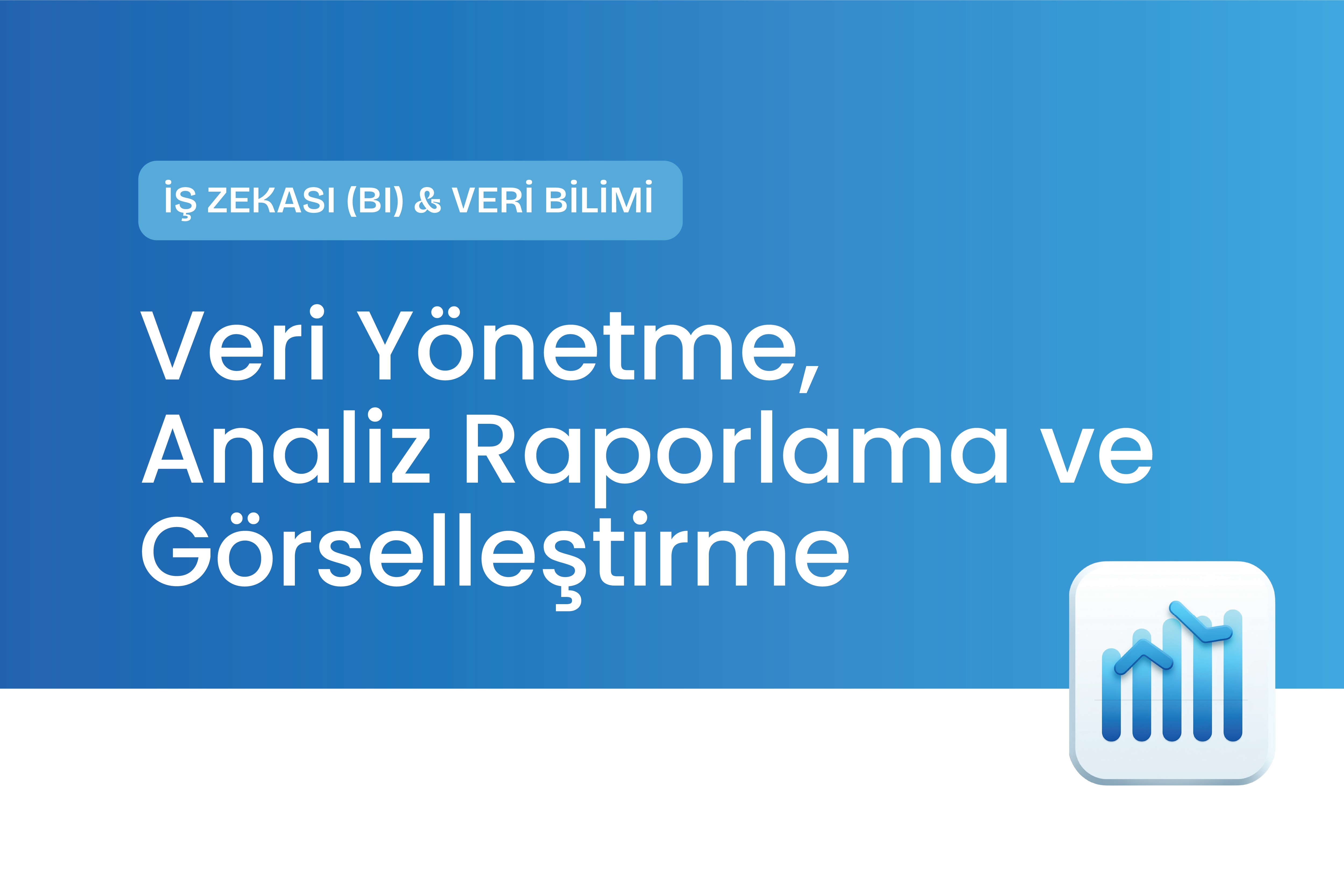 Veri Yönetme, Analiz, Raporlama ve Görselleştirme Eğitimi